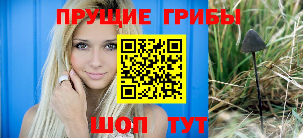 Псилоцибиновые грибы Cubensis Альметьевск